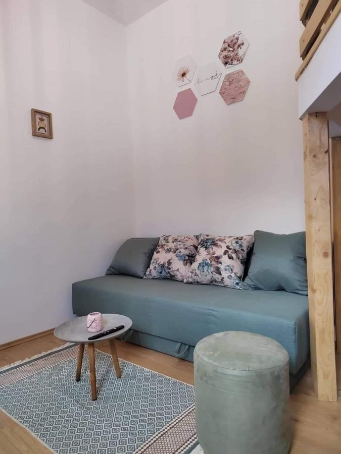 Apartment Maio Viskovo エクステリア 写真
